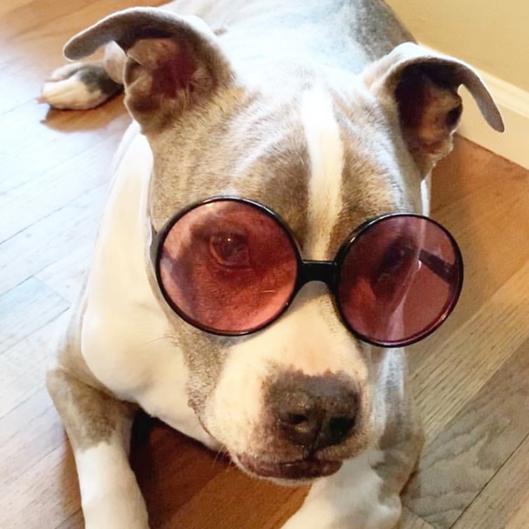 Welcome to my closet! - Picture 5 of 12